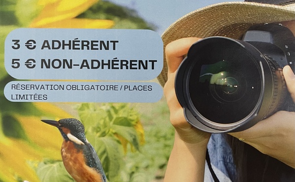 Photographie Ornithologique